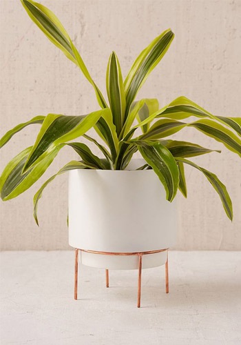 10 Planters from Urban Outfitters That Will Add Life to Your Home | InstyleRooms.com/Blog