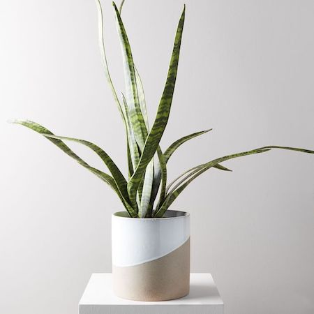 Everything is on Sale at West Elm | InStyleRooms.com/Blog