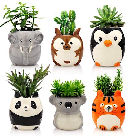 Grow Your Love Fern in These Cute Planters | InStyleRooms.com/Blog