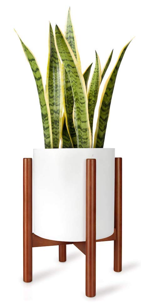 Grow Your Love Fern in These Cute Planters | InStyleRooms.com/Blog