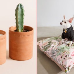 Plant-Inspired Home Decor For Aspiring Green Thumbs | InStyleRooms.com/Blog